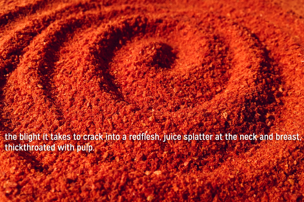 Two Poems - Palette Poetry